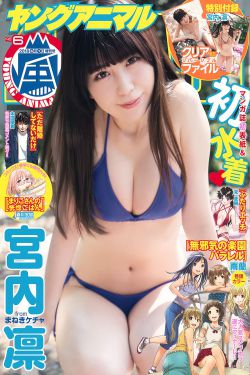 k12教育是什么意思